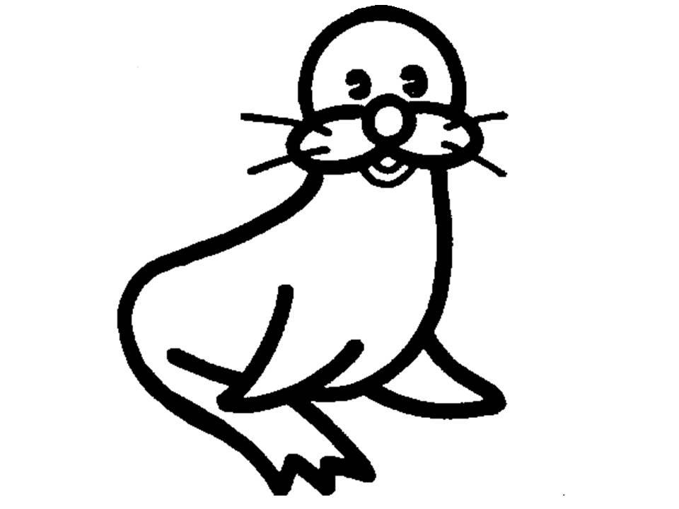Cartoon Sea Lion