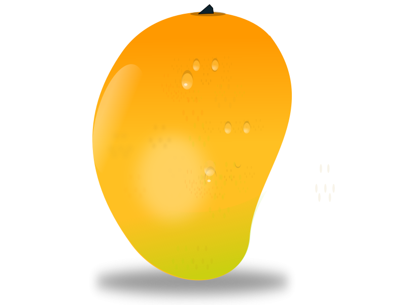 Mango fruit Free Vector / 4Vector