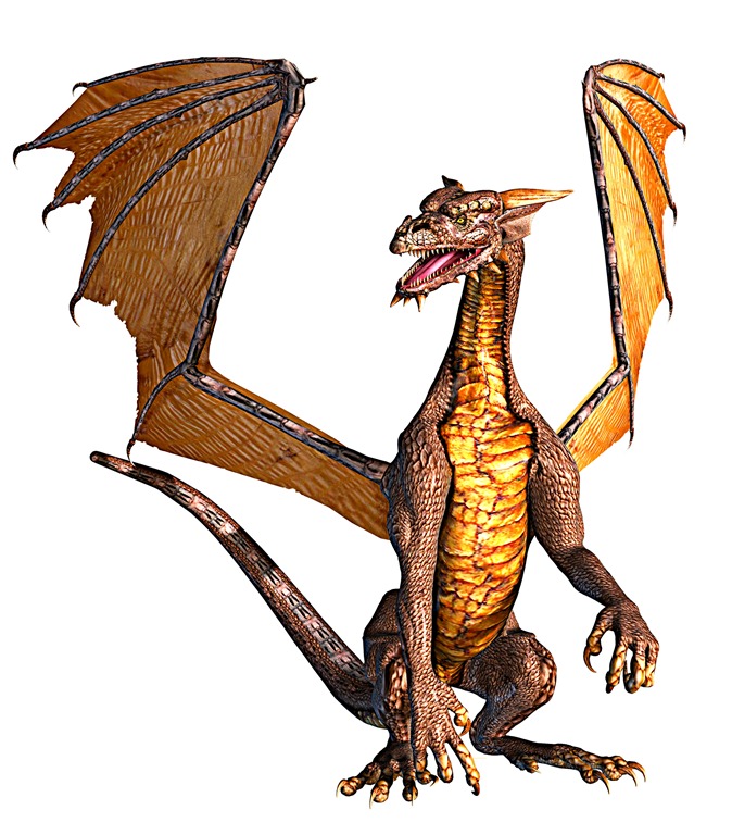 Pictures Of Dragons