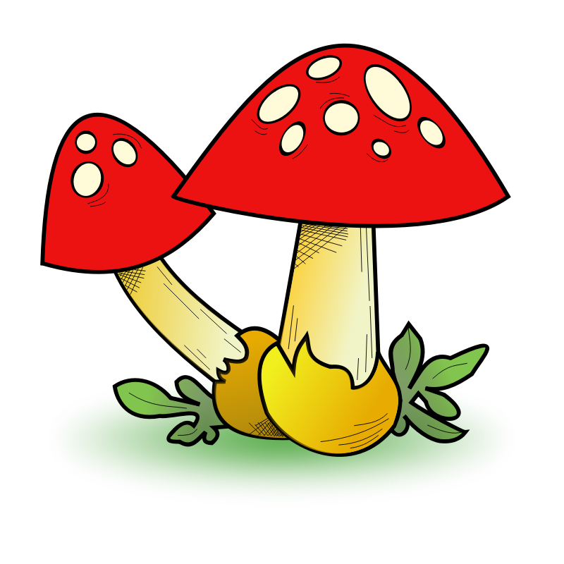 Clipart - Fungal Forest