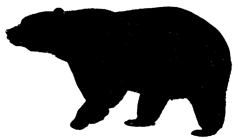 Pix For > Standing Black Bear Outline