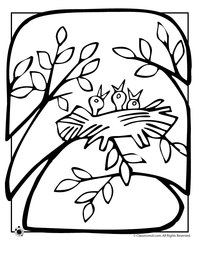 spring bird Colouring Pages (page 3)