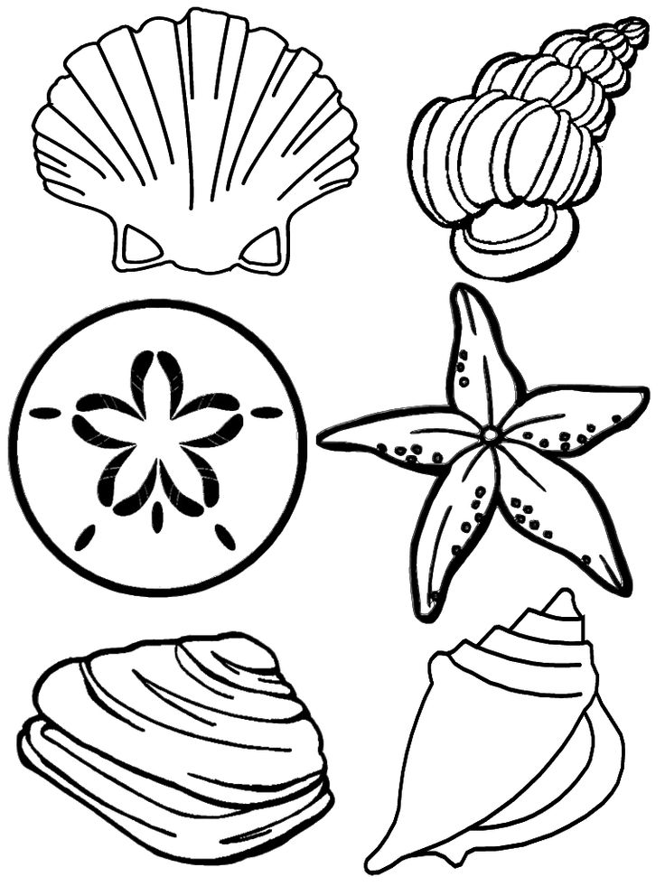 Printable Seashells