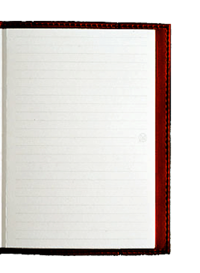 A Writer's Notebook: a blank page | Samuel Snoek-