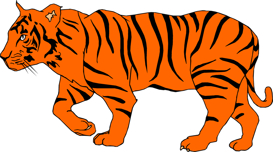 Free Stock Photos | Illustration of a tiger | # 3434 ...