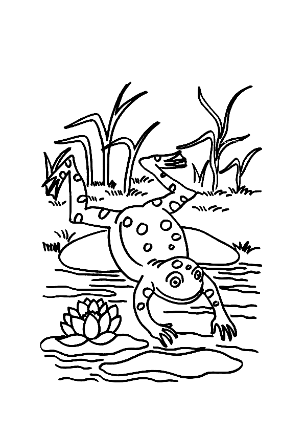 Coloring Pages | Animal Frog Jumping Off A Lily Pad | www ...