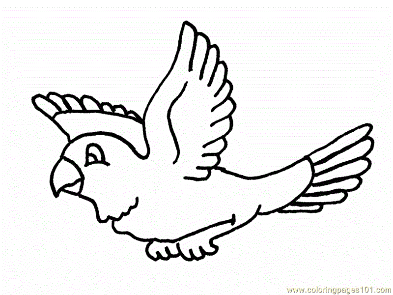 2721 ide coloring-pages-birds-flying-15 Best Coloring Pages Download