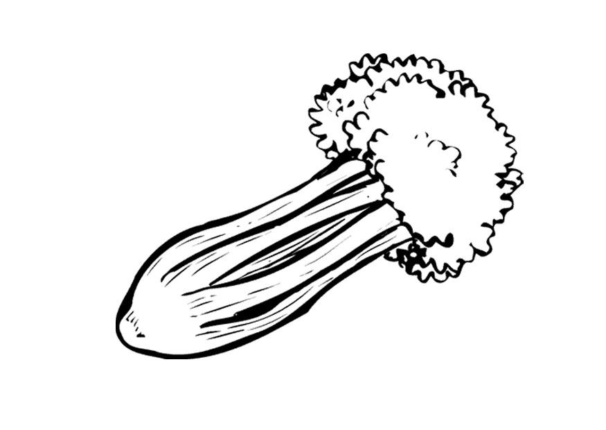 Cartoon Celery - Cliparts.co