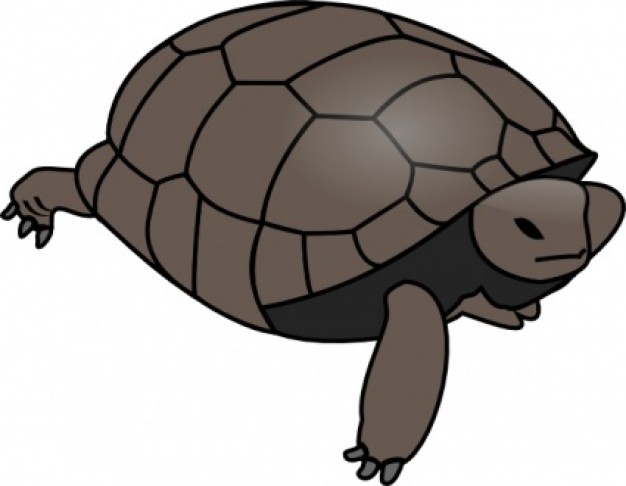 Brown turtle clip art Vector | Free Download