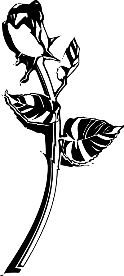 Single Rose Black And White | Clipart Panda - Free Clipart Images