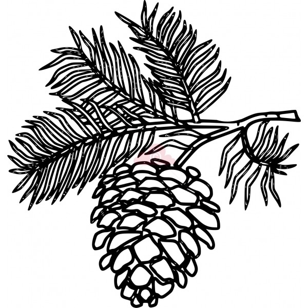 Pine Cone image - vector clip art online, royalty free & public domain