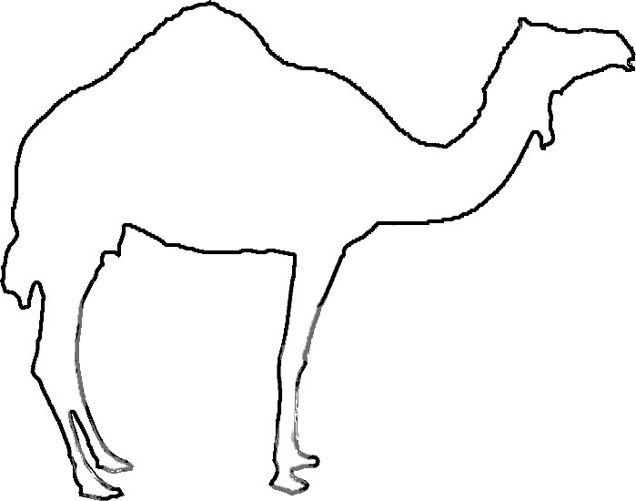 Camel Outline Template Sketch Coloring Page