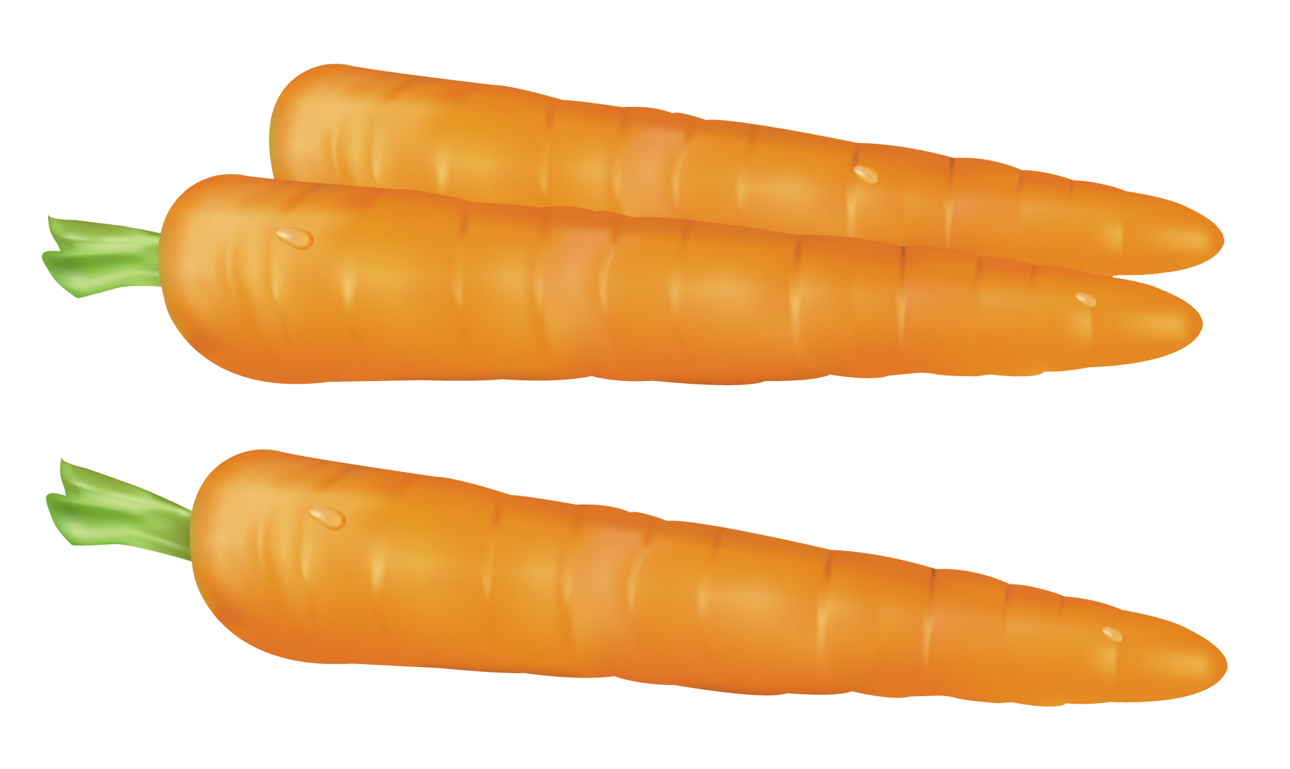 Carrots PNG Clipart