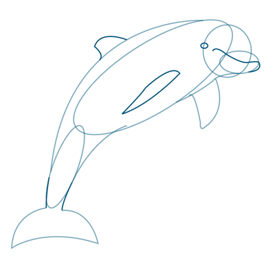 How to Draw a Dolphin - Step by Step Approach