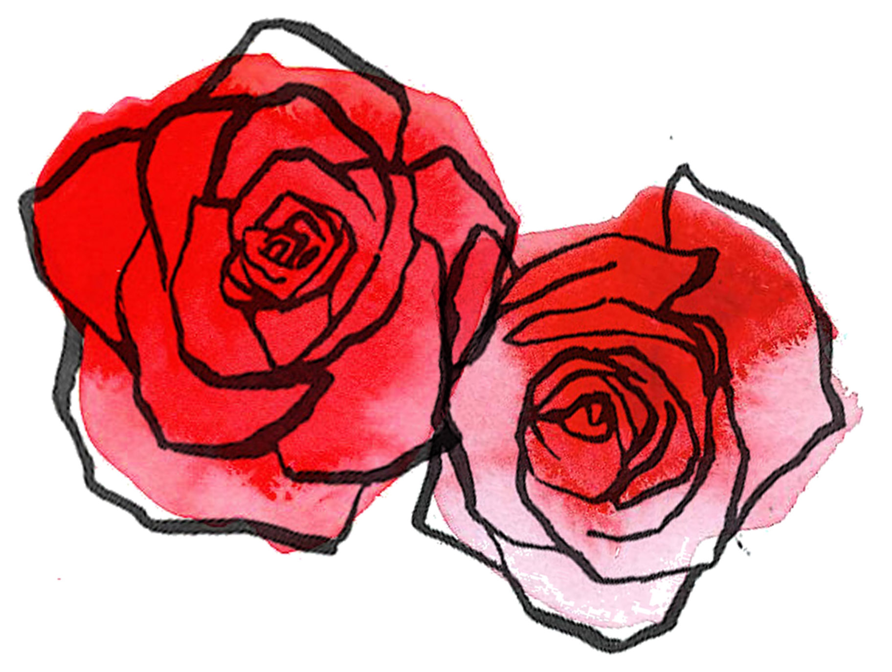 rose drawing sketch