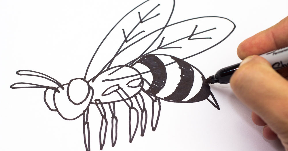 How To Draw A Bee - Art for Kids Hub