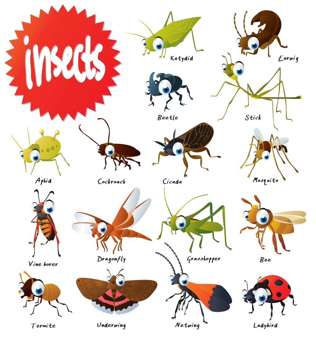 Insects Cliparts co