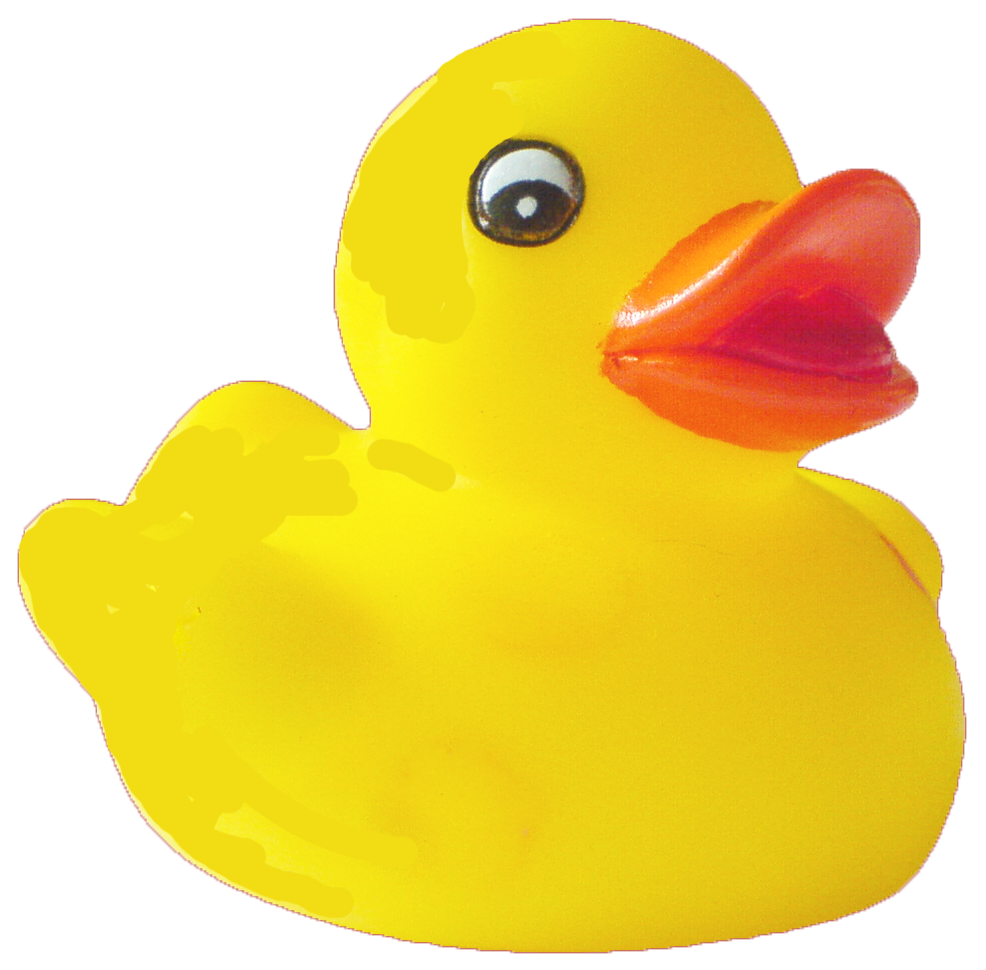 duck duc k