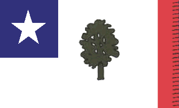 Mississippi Flag Proposal