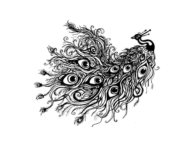 Peacock Drawing Tattoo | Peacock Drawing Black And White Wallpaper ...