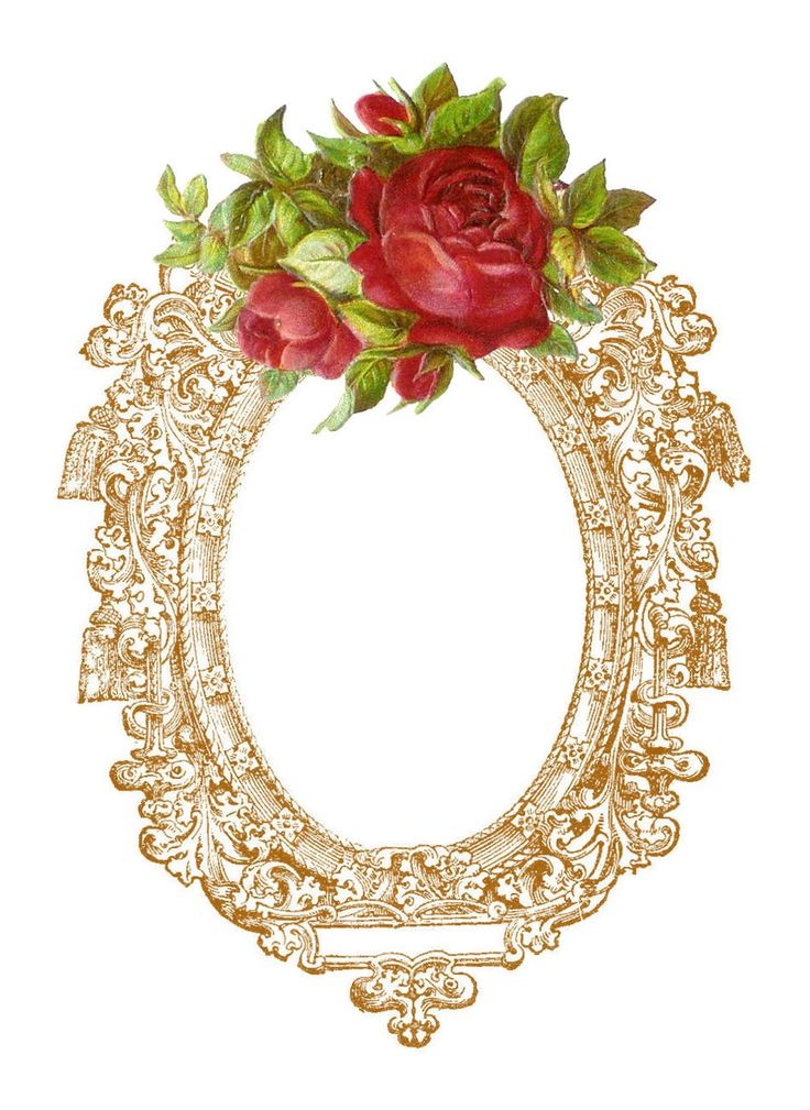 Vintage Printable Frame with Red Rose | Frames and flourishes | Pinte…