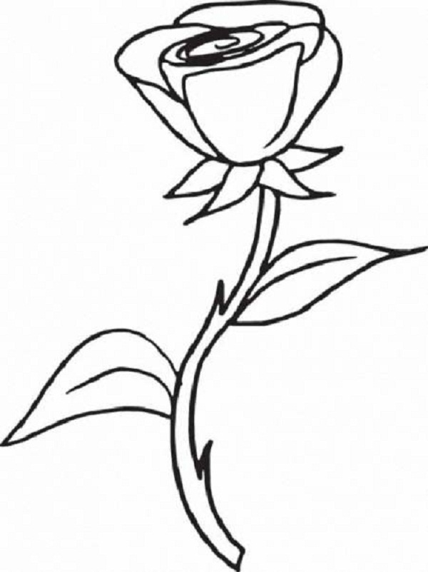 rose coloring pages for kids printable | Coloring Kids