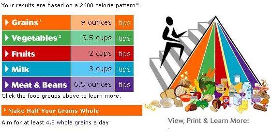 Articles > Nutrition - New Food Pyramid - Food Pyramid