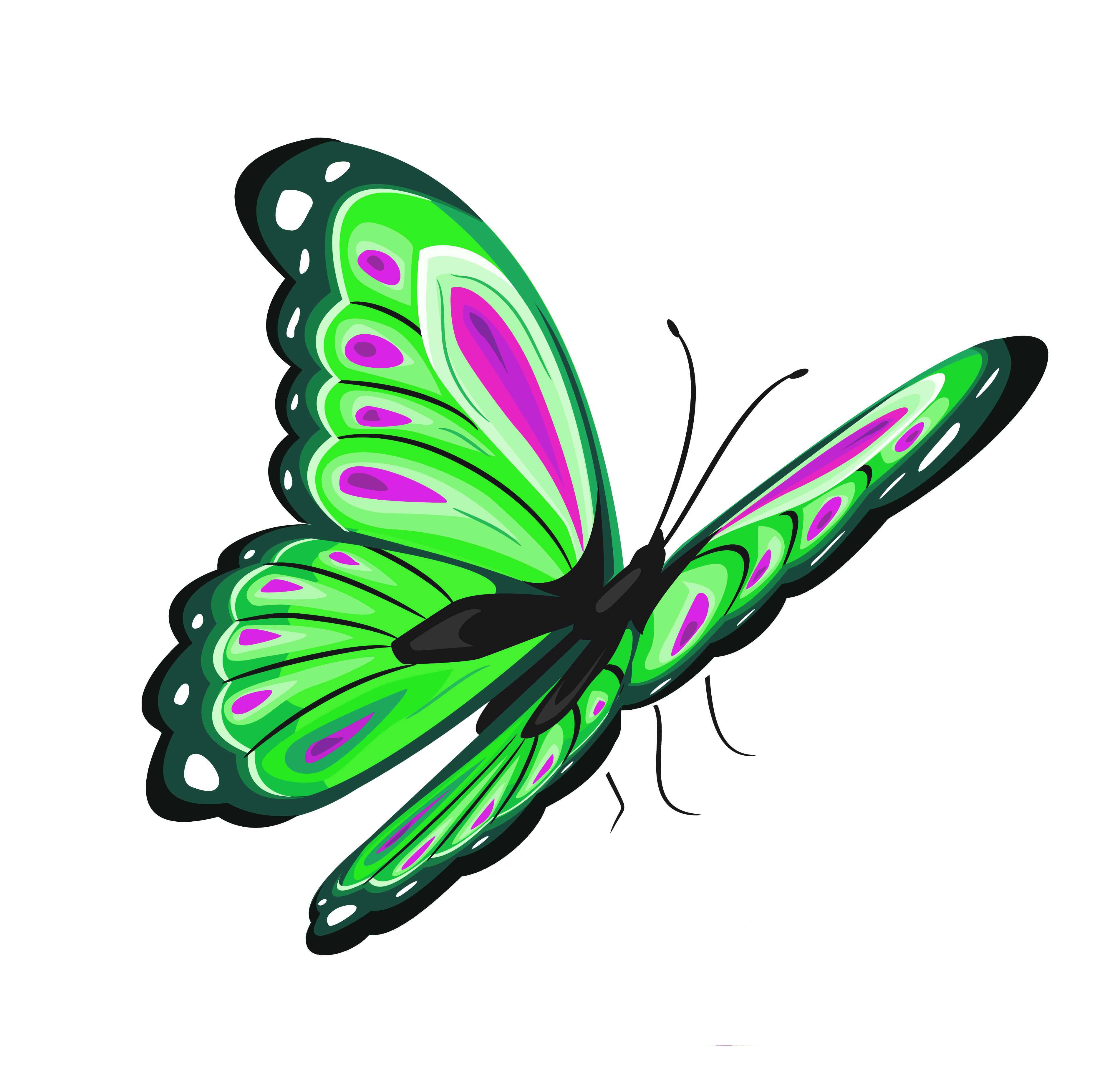 green butterfly clip art - photo #8