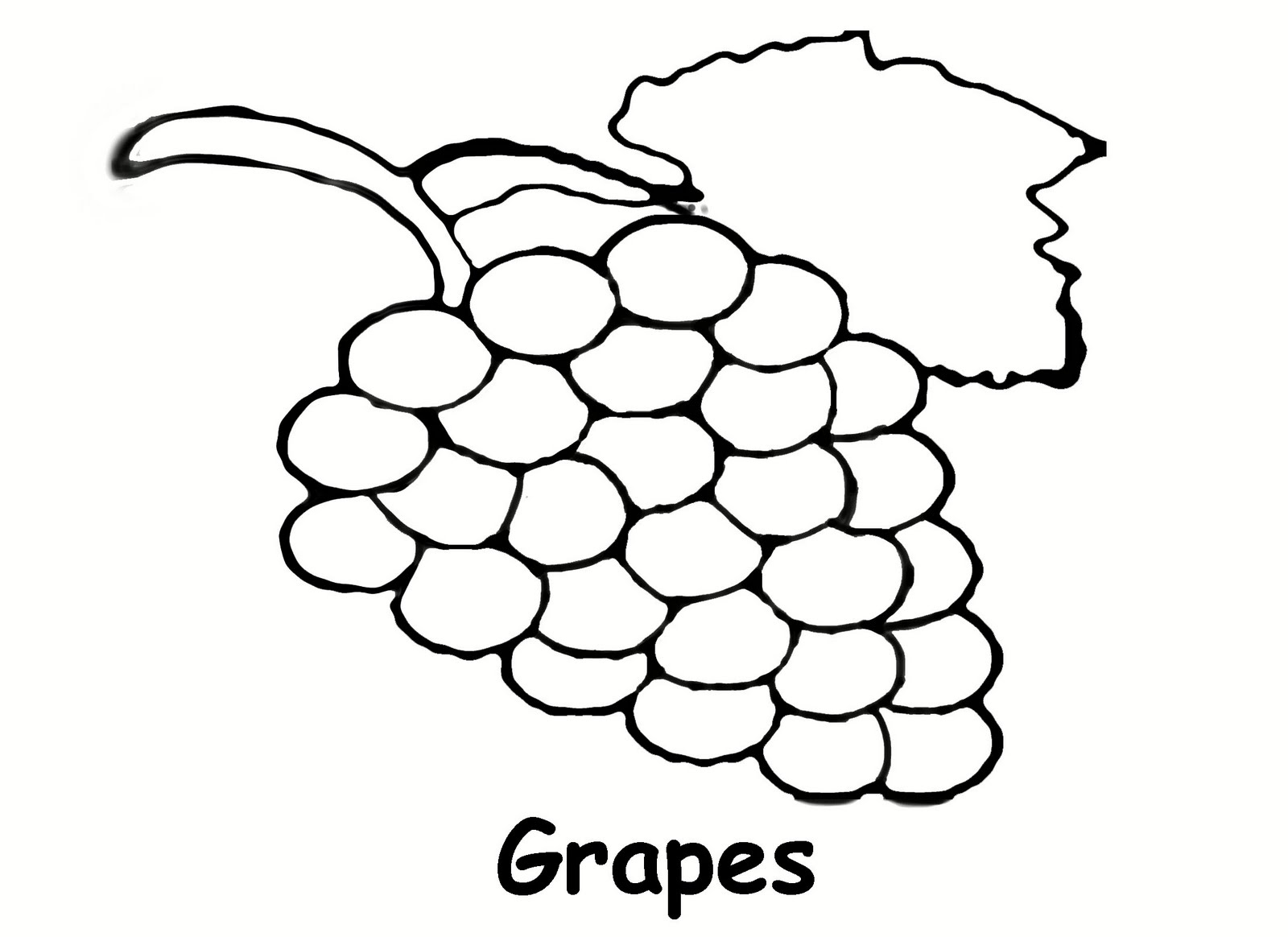 Grapes Outline Drawing - Gallery