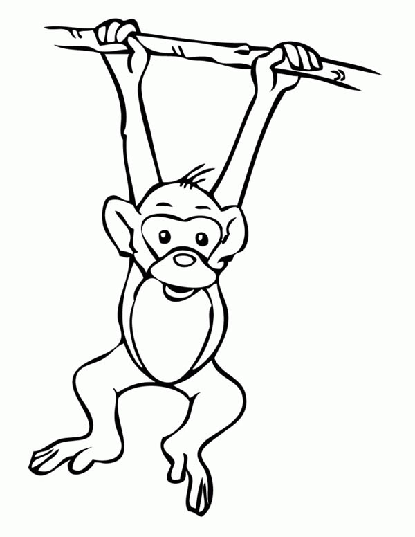 Monkey Hanging On A Tree Coloring Page Download & Print Online