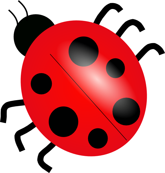 Ladybug 3 clip art - vector clip art online, royalty free & public ...