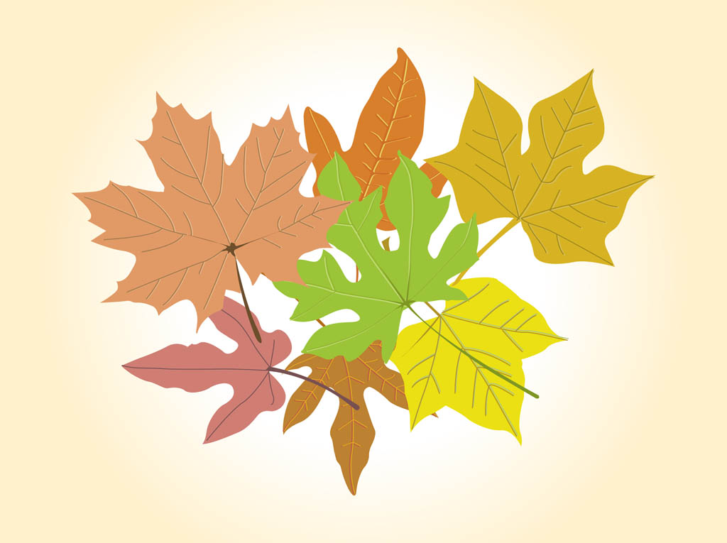 free autumn clipart pictures - photo #34