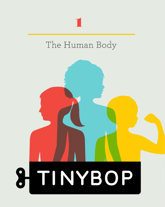Illustrating Tinybop's 1st App : Kelli Anderson