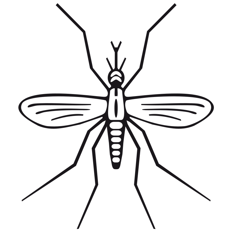 insect clipart black and white - photo #30