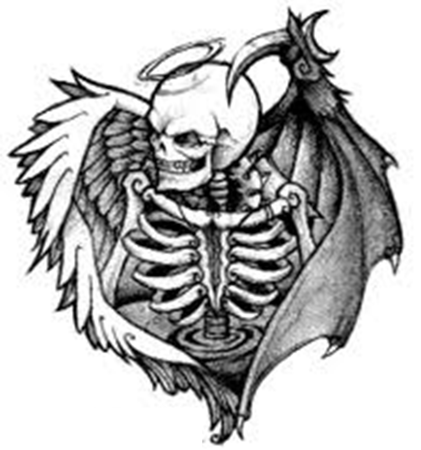 Skull image - vector clip art online, royalty free & public domain