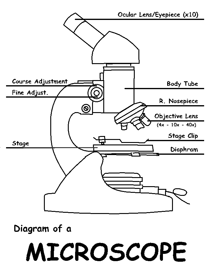 diagram of a microscope | Diabetes Inc.