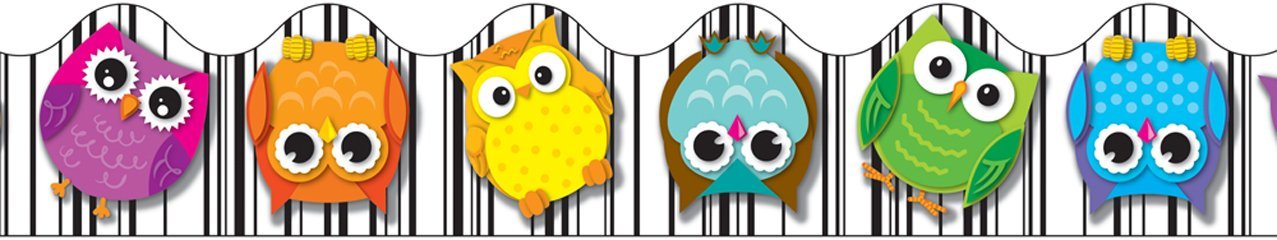 Amazon.com : Carson Dellosa Colorful Owls Borders (108123) : Math ...