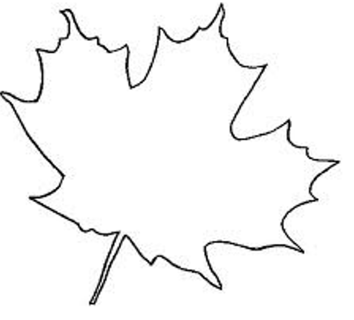 Outline Maple Leaf - ClipArt Best