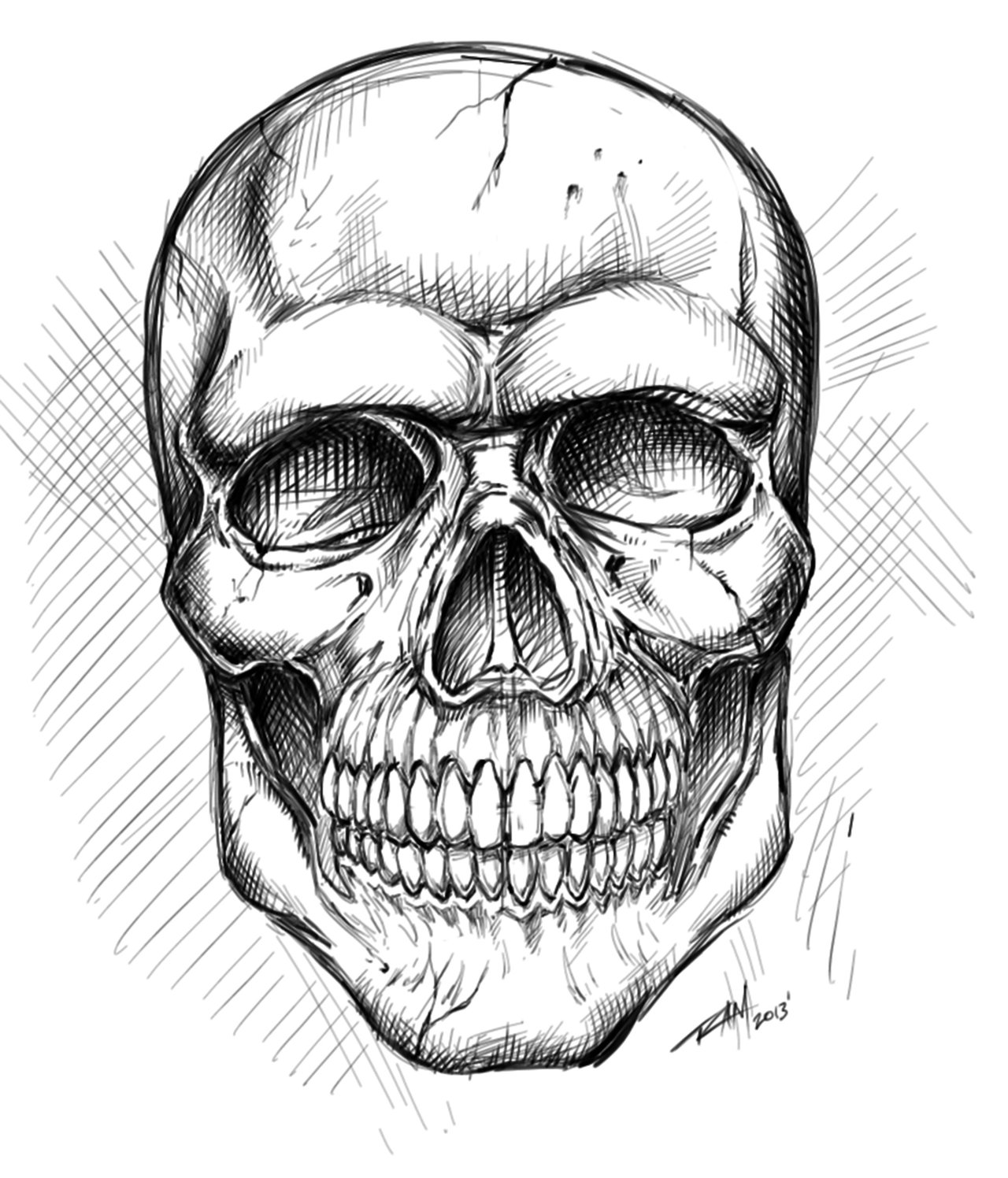 skull sketch book