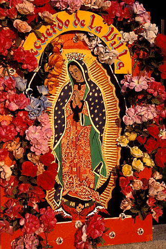 Mexican Art, Floral display for the Virgin of Guadalupe | David ...