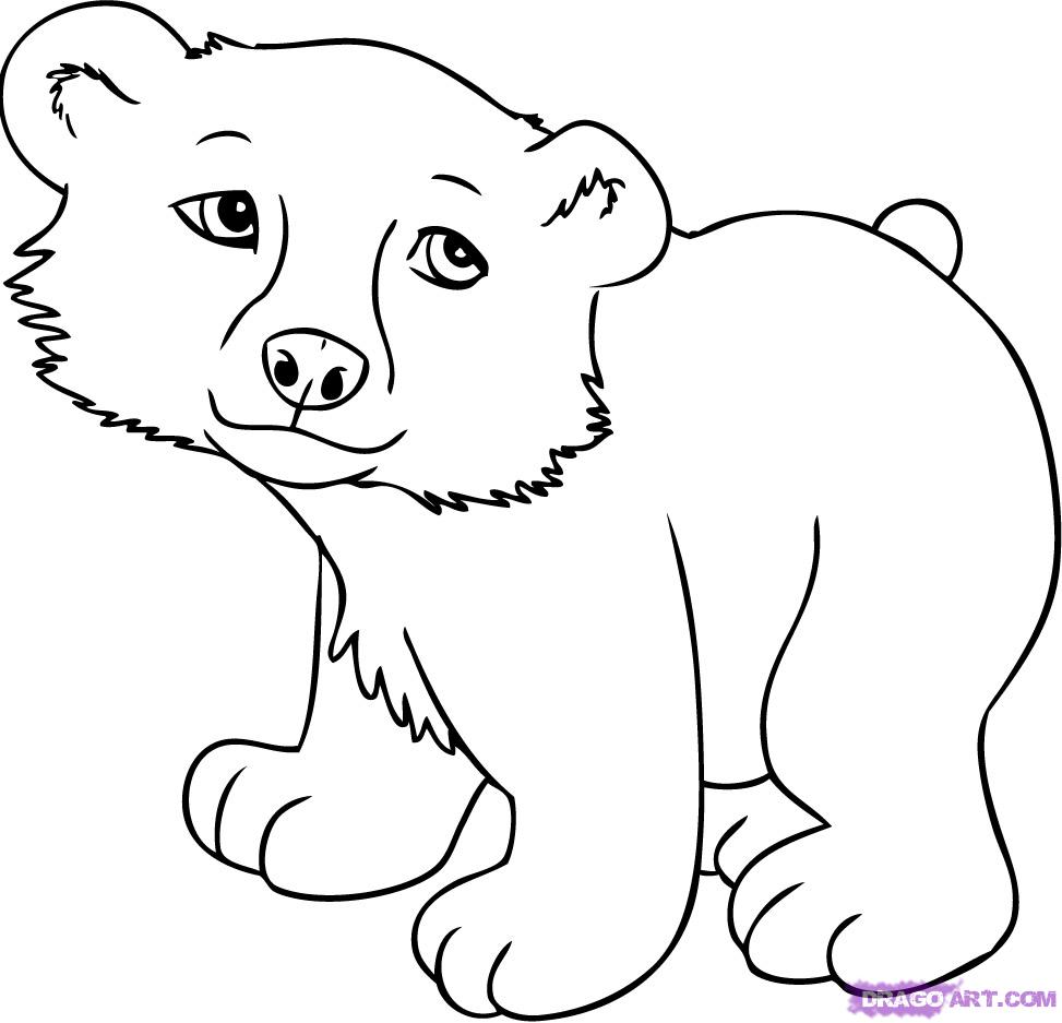 How to Draw a Cartoon Polar Bear, Step by Step, Cartoon Animals ...