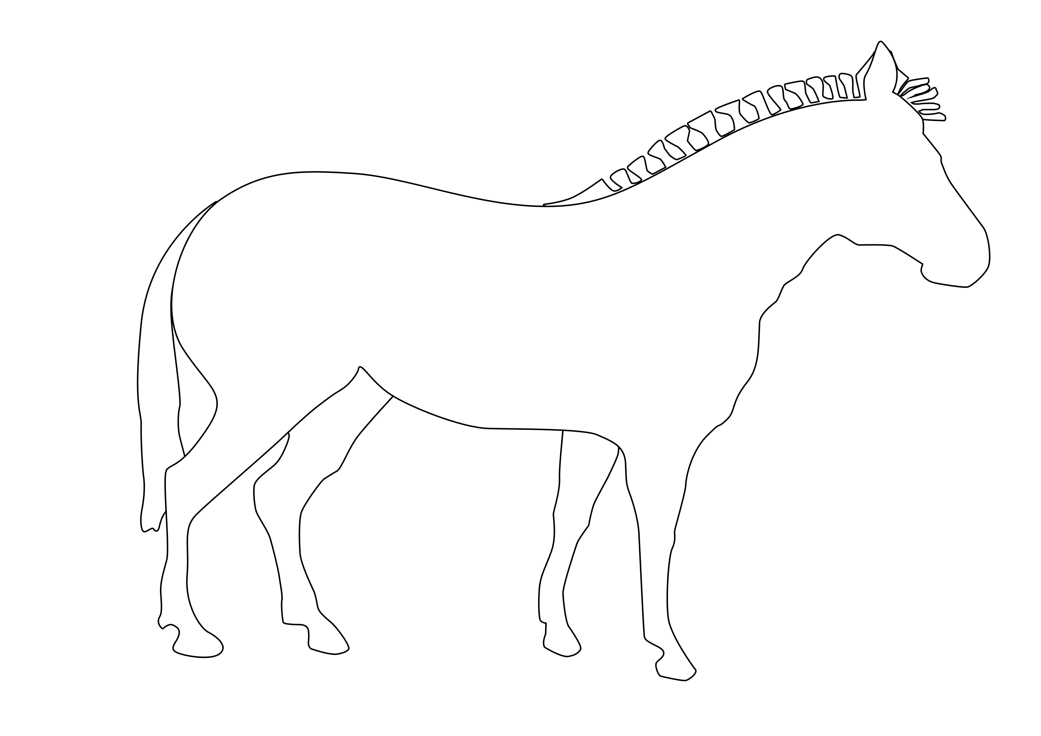 Zebra Outline Drawing | picturespider.com