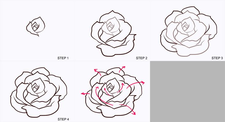 How to Draw a Rose Step by Step for Beginners | at a step by step ...