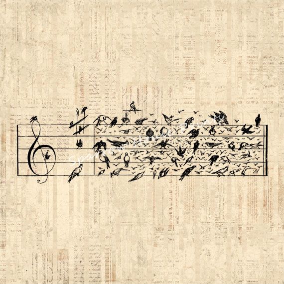 Antique Birds Music Notes Vintage Art Musical Notation Sheet Music ...