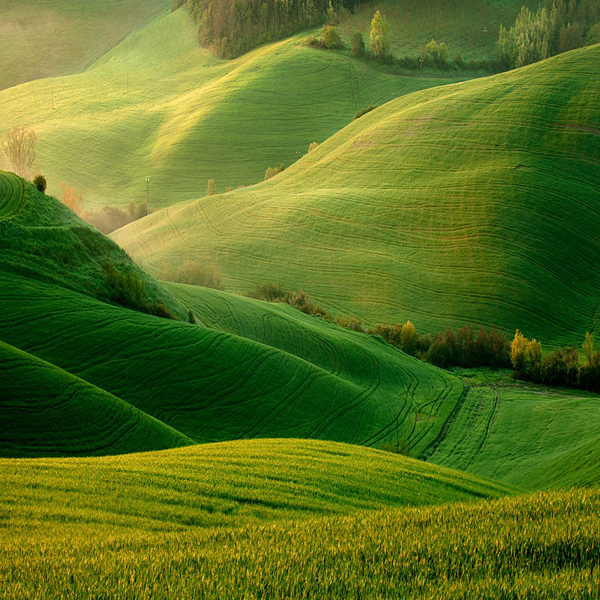 Stunning green fields | Chill Hour