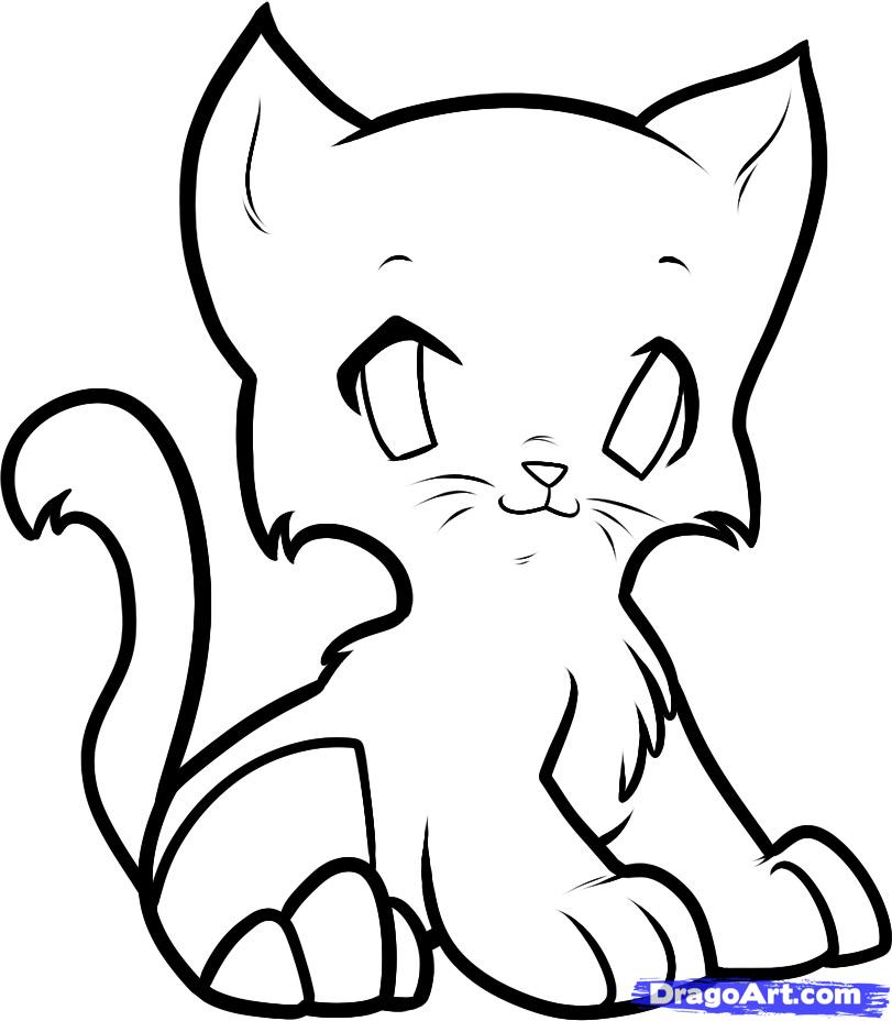How to Draw an Anime Kitten, Anime Kitten, Step by Step, anime ...
