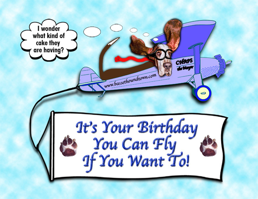 BassetHoundTown Blog/Vlog » Happy Birthday Kerry, aka OneMom!