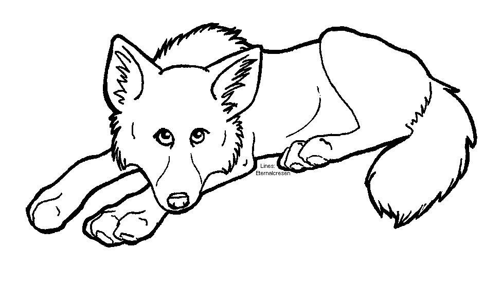 deviantART: More Like Free Wolf puppy Lineart 4 by Wolfieluv6