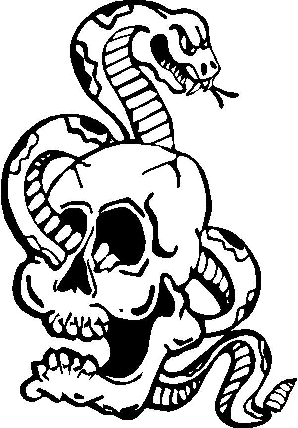 skull snake,Skull bumper decals,Skull Decals, Skull Stickers funny ...