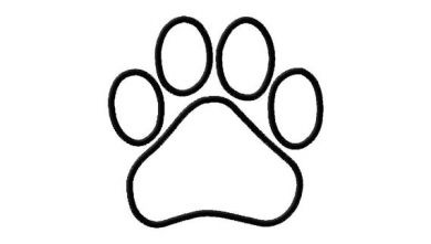 Dog Paw Print Outline - Cliparts.co